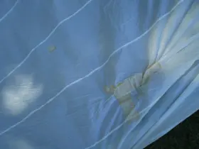 23311 Scott Allan Sail Makers Spinnaker Made By Makers/horizon