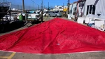 North Sails Spinnaker W 60-0 Luff From Boaters' Resale Shop Of Tx 2511 0805.96 Used. Price: $1054.90.