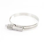 Breeze CT450LSS Constant Torque (ct) Hose Clamps With Spring New. Price: $32.51.