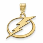 Ss Gp Nhl Tampa Bay Lightning Medium Pendant New. Price: $80.42.