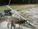 Pearson Ensign Sailboat Boom With Free Shipping Used. Price: $775.00.
