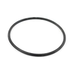 Hobie 6" Twist And Seal O-ring X-10-DANA New. Price: $16.99.